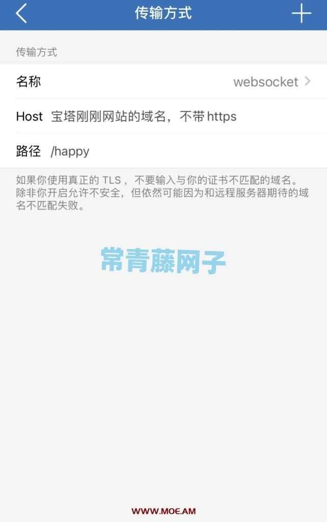 宝塔面板搭建V2ray图文详细教程