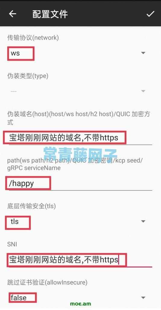 宝塔面板搭建V2ray图文详细教程