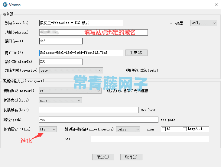 Linux宝塔面板 + Nginx服务环境下,v2ray配置双模式(Websocket 或 Websocket + TLS)