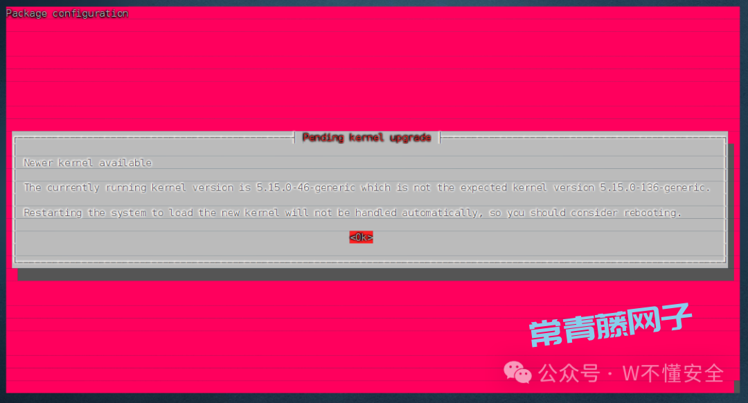 10分钟零基础实战:用你的VPS打造专属高速专线,解锁全球网络