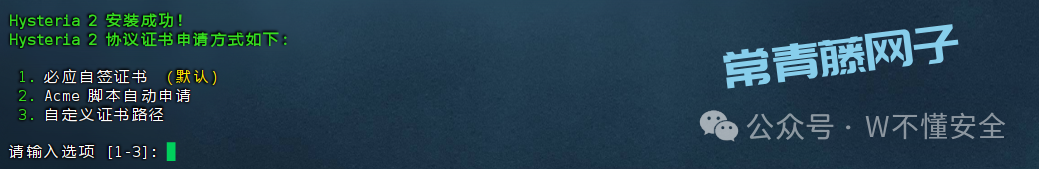 10分钟零基础实战:用你的VPS打造专属高速专线,解锁全球网络