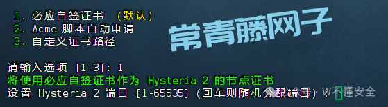 10分钟零基础实战:用你的VPS打造专属高速专线,解锁全球网络