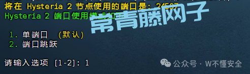 10分钟零基础实战:用你的VPS打造专属高速专线,解锁全球网络