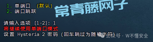 10分钟零基础实战:用你的VPS打造专属高速专线,解锁全球网络