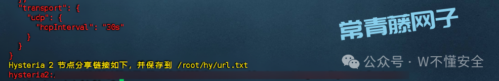 10分钟零基础实战:用你的VPS打造专属高速专线,解锁全球网络