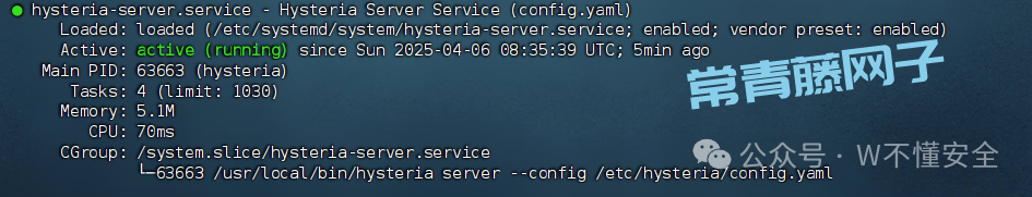 10分钟零基础实战:用你的VPS打造专属高速专线,解锁全球网络