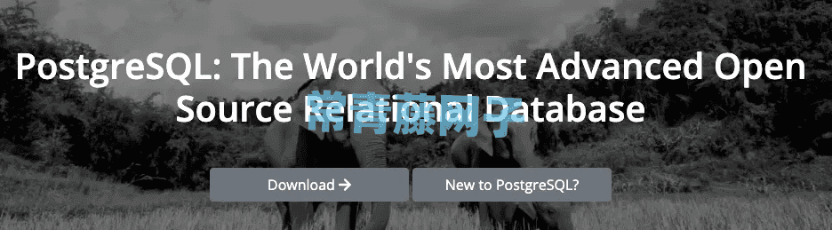 全方位对比Postgres和MySQL(2023版)