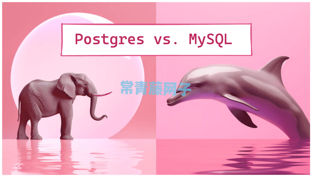 全方位对比Postgres和MySQL(2023版)