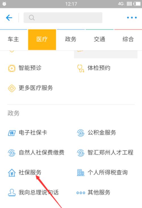 苹果手机如何查询社保记录?详细步骤解析
