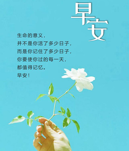 高情商早安句子？早上好問候語一句吧
