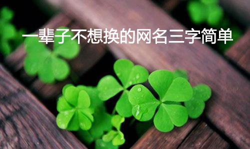 一輩子不想換的網(wǎng)名三字簡單