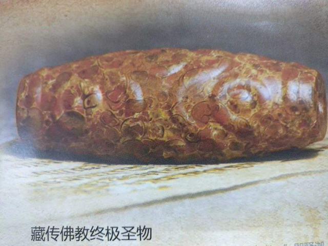 李连杰的九眼天珠值多少钱 利智太美导致他纵欲过度？-图2