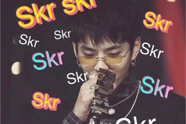 说唱里skrt什么意思 网上出现大量skr的表情包-图2