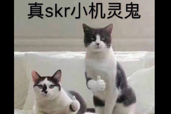 说唱里skrt什么意思 网上出现大量skr的表情包-图3