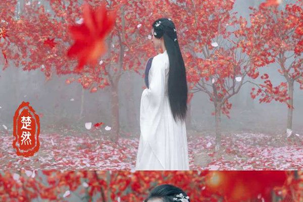 王楚然个人资料 到底是什么身份背景-图4