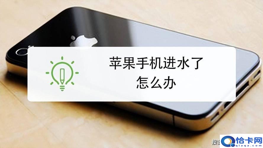 苹果手机掉到水里如何处理？急救措施救苹果手机进水