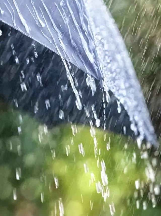 雨雨雨？未来一周长沙雨量偏多？这两天还有暴雨！