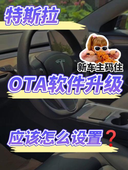 特斯拉如何加装第三方软件?