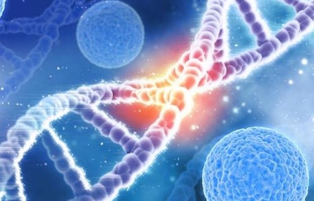 为什么人类不能永生？因为细胞不断的更新(产生 DNA 突变)-图2