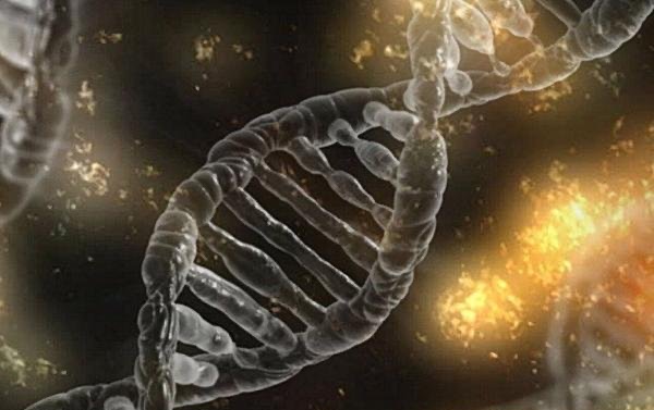 为什么人类不能永生？因为细胞不断的更新(产生 DNA 突变)-图3