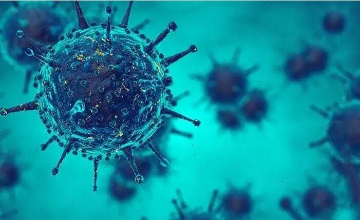 人类历史上最可怕的传染病毒（五大传染性极强的病毒）-图5