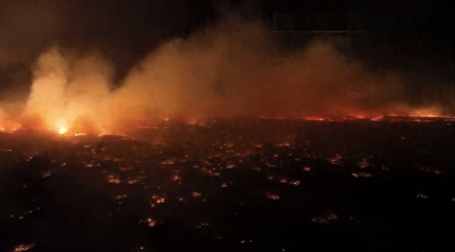 6万美军，为何注视夏威夷被烧成炼狱、拒不出手相救？-图2