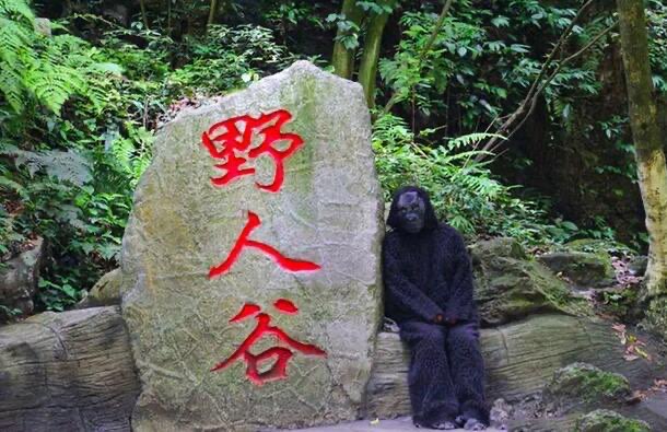 神农架真的有野人吗（野人到底长什么样子）-图2