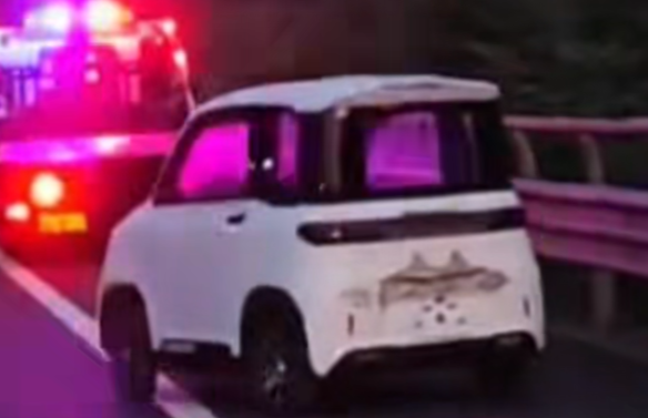 高速惊现站立的小汽车：车身90度直立稳如雕塑-图2