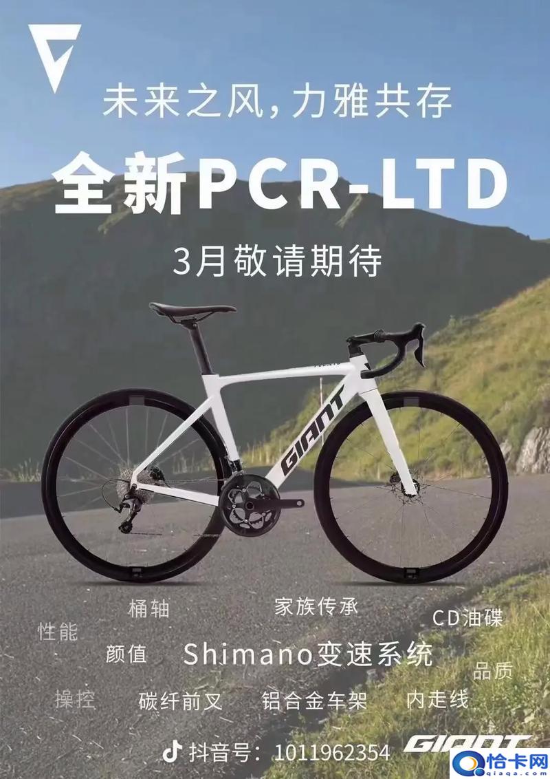 如何在Vultr CentOS服务器上配置SSR？