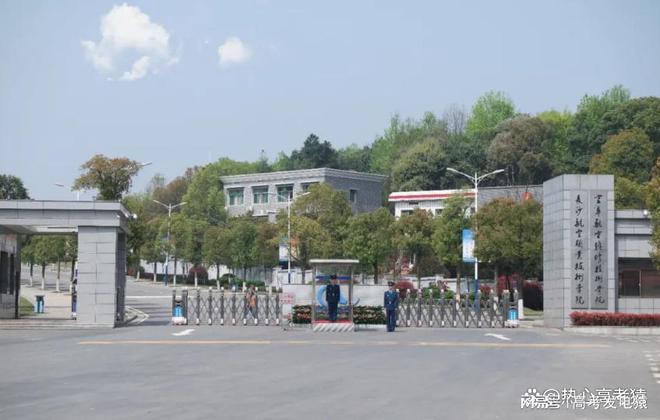 张雪峰建议上的专科学校！不输本科的专科学校？