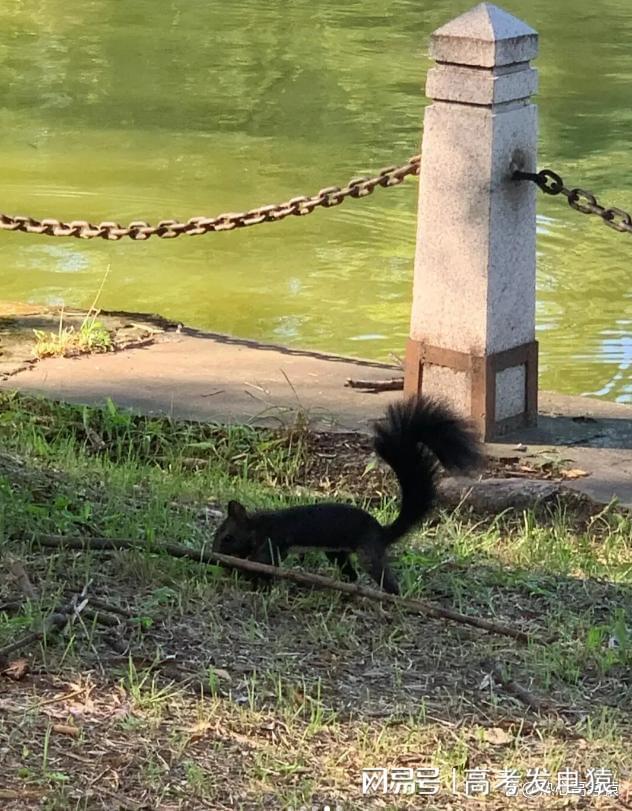 哈尔滨师范大学是985还是211？如果两者都不是，你信吗？