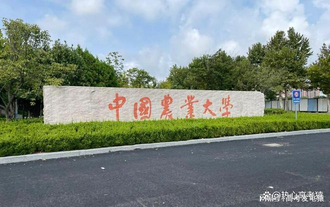 中国大学专业排名,TOP 985大学的王牌专业