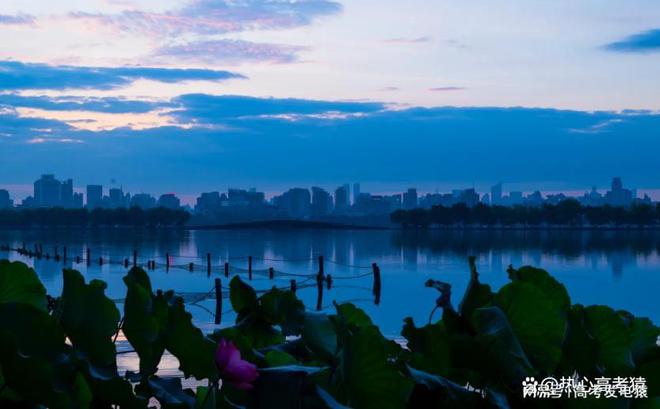 杭州的大学排名一览表
