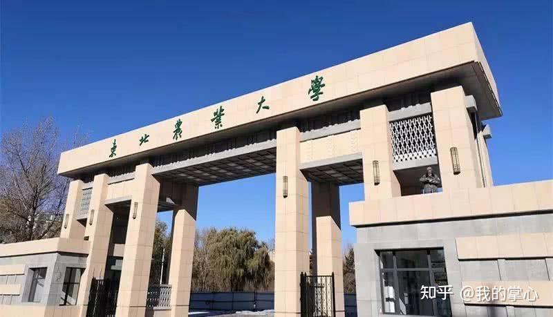 东北农业大学2024硕士招生复试线