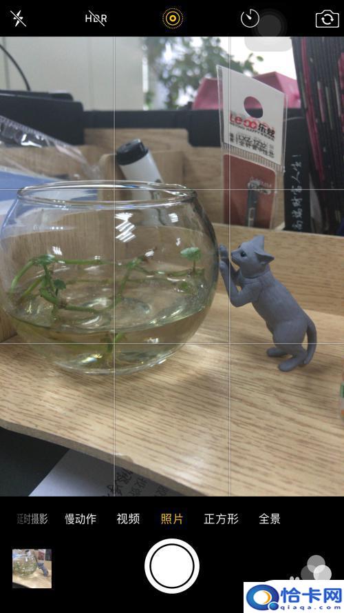 苹果手机的拍照格子怎么调？iPhone 相机功能中的网格线怎么开启