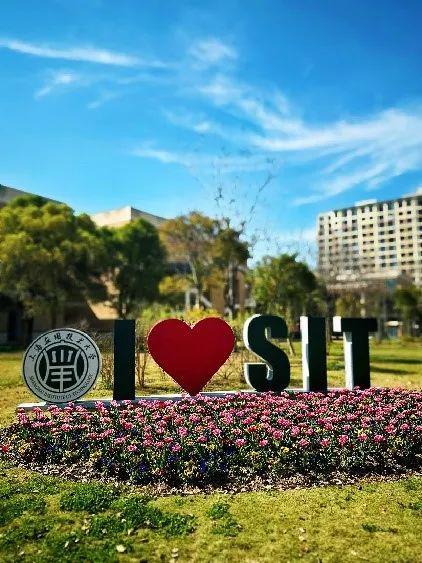 上海应用技术大学就业怎么样？“学科+产业”，全面对接现代产业-图3