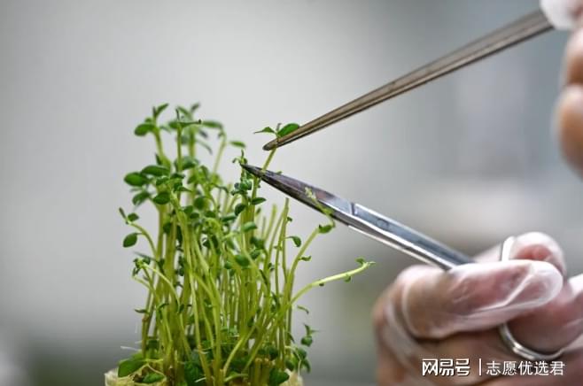 西北农林科技大学怎么样？好不好？用实力打破误区！-图3