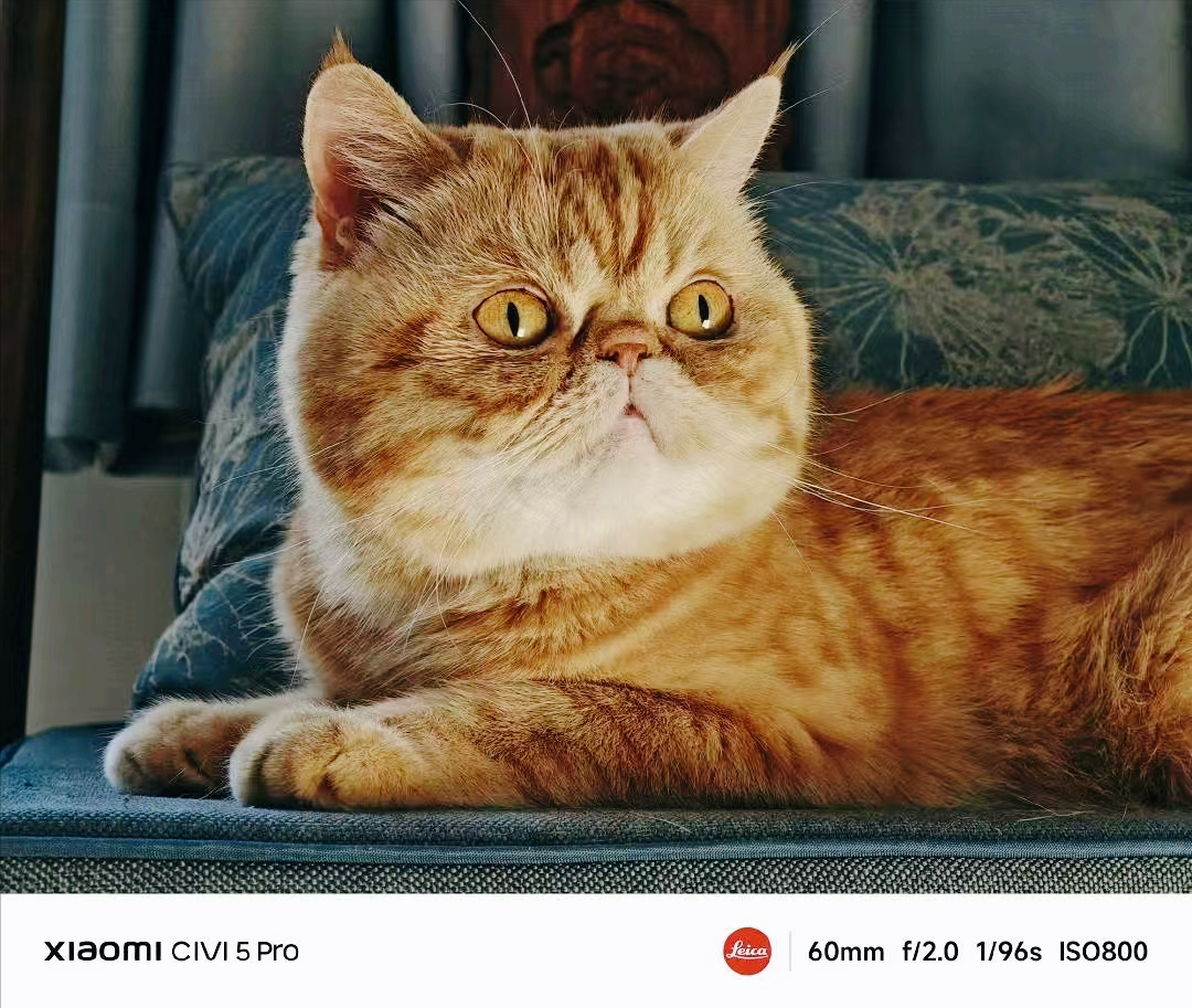 小米Civi 5 Pro评测，6000mAh+徕卡影像+轻旗舰，真是小米15平替