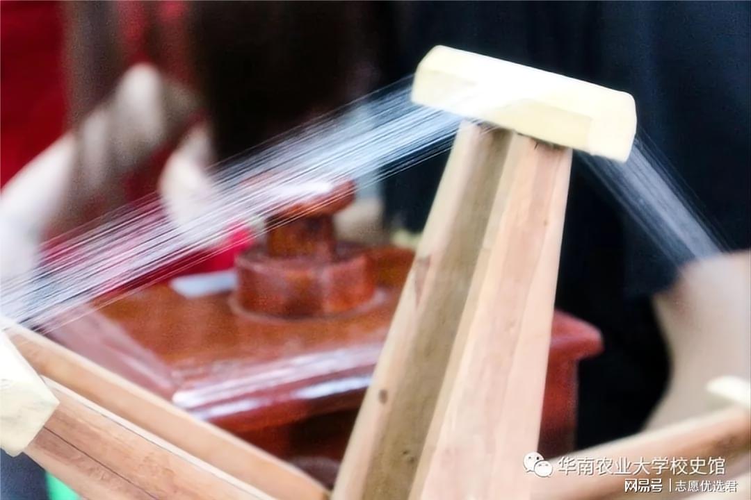 华南农业大学怎么样？好不好？这一小众专业升学、就业率达100%!