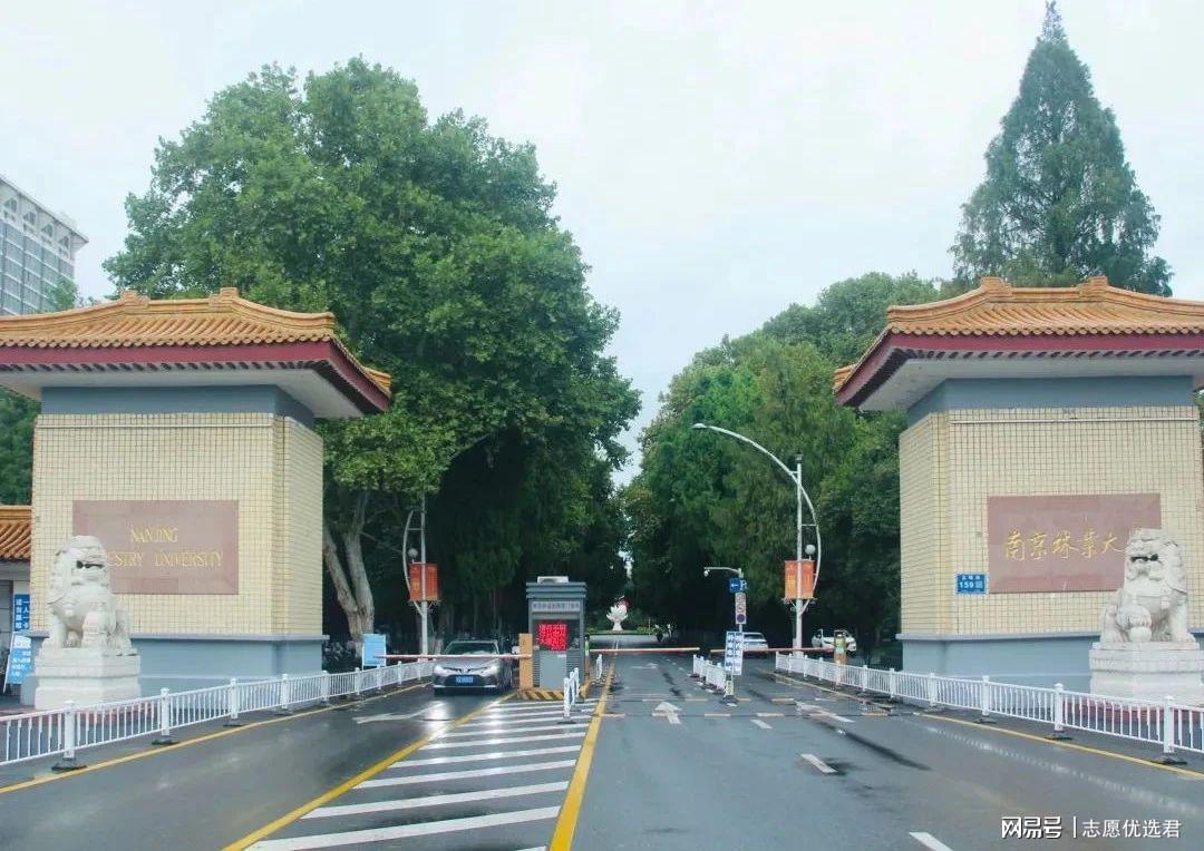 南京林业大学好不好？百年名校，实力堪比部分“985”