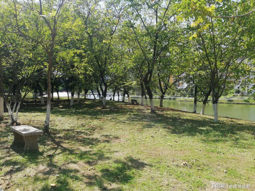 广东医科大学环境怎么样？上床下桌，独立卫浴，还能免费喝椰子水-图2