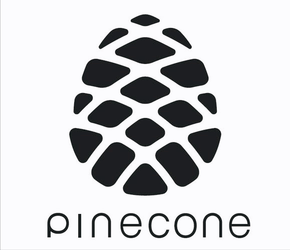 雷军坚持十年造芯,多年投入已超500亿,为何却被网友群嘲?