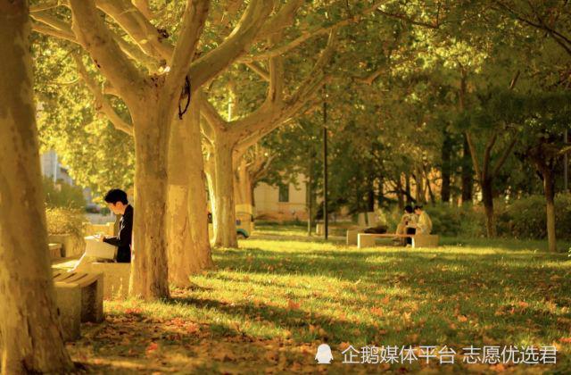 南开大学王牌专业怎么样?历史悠久,底蕴深厚,名企偏爱!