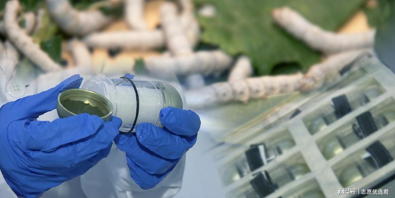 华南农业大学怎么样?好不好?这一小众专业升学、就业率达100%!