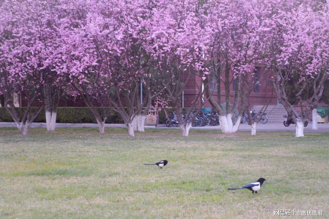 中国地质大学王牌专业是什么?排名怎么样?非常优秀!