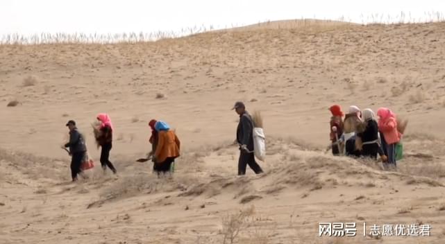 中国农业大学怎么样？好不好？科研＋实践，“新农人”这样做-趣考网