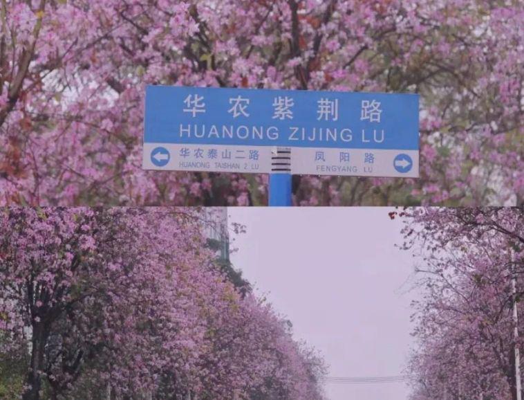 华南农业大学是双一流么？国家认证，众望所归！-趣考网