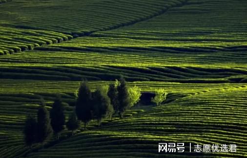 林业类高校怎么选?大盘点!湖南这所大学,“强势逆袭”!