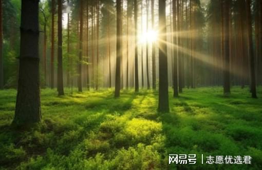 林业类高校怎么选?大盘点!湖南这所大学,“强势逆袭”!