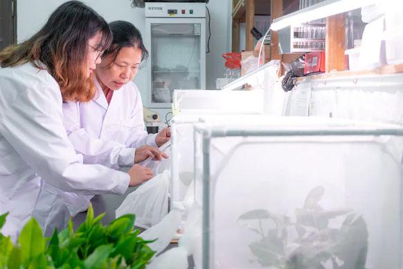 华南农业大学是211么?不是,但实力比肩211